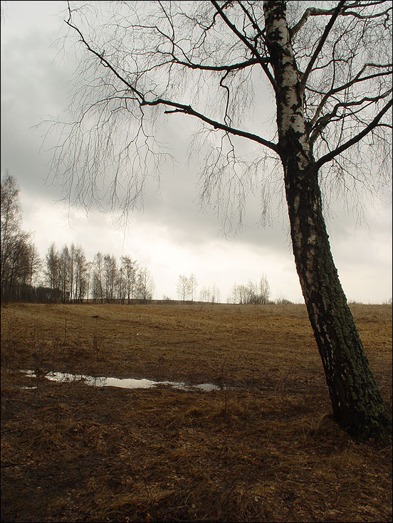 осень 