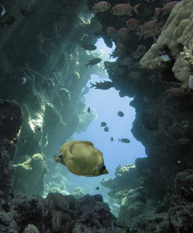 Лучи света в тёмном царстве море,Красное,Марса,Алам