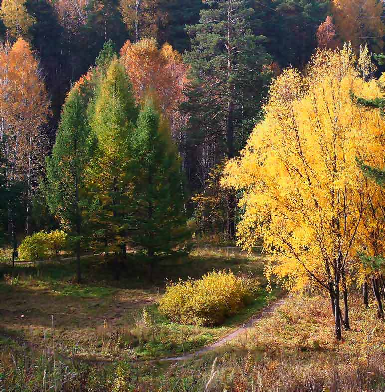 Осеняя прогулка 3 