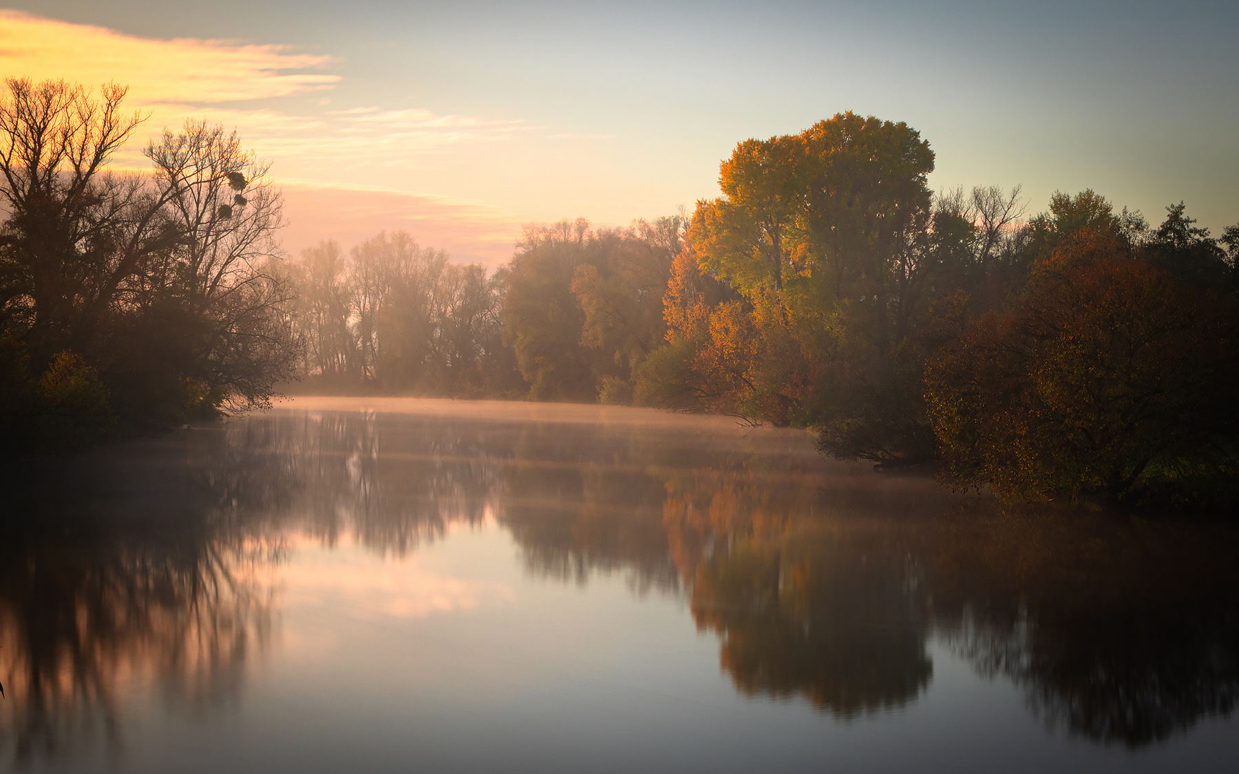 Autumn 