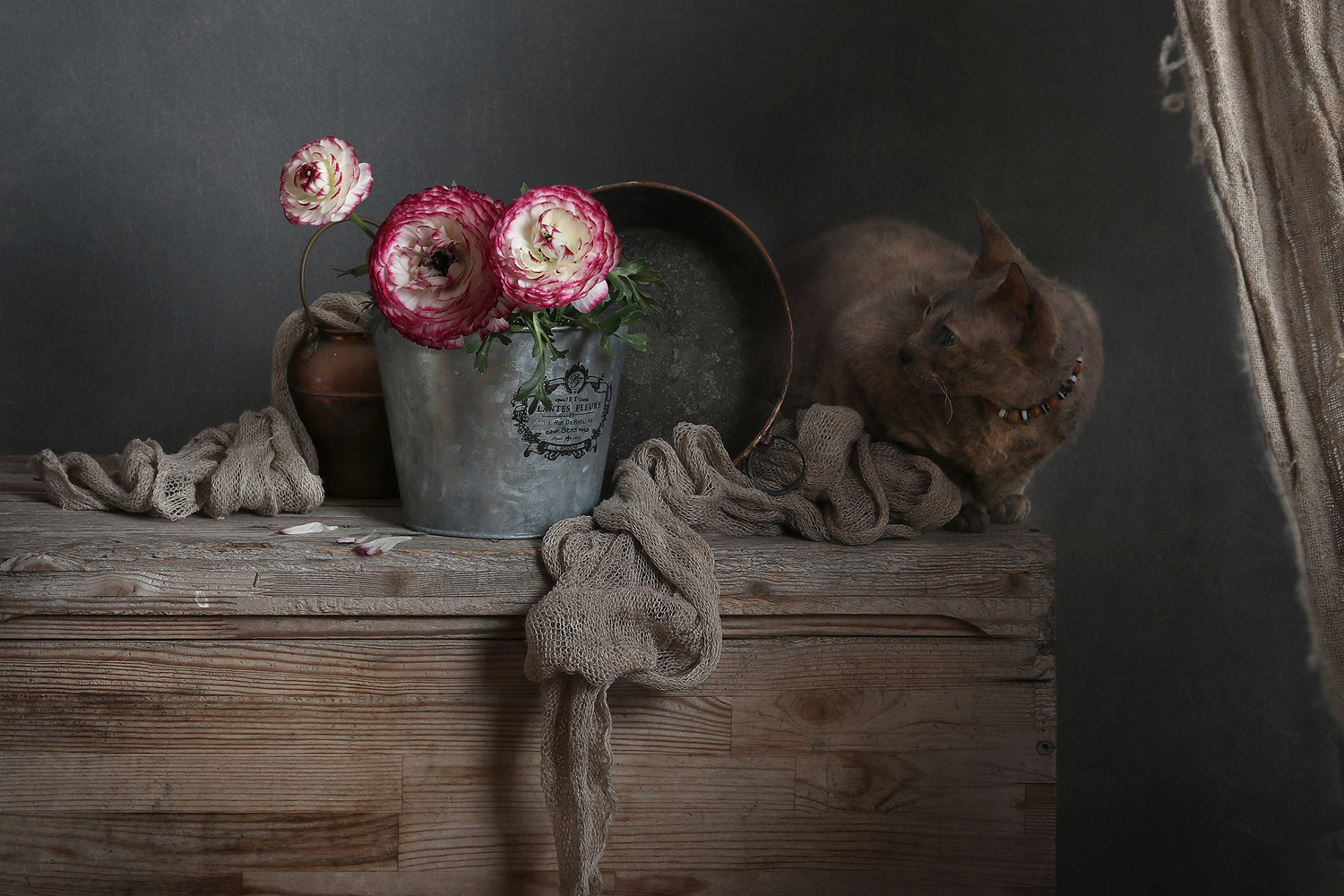 ranunculus 