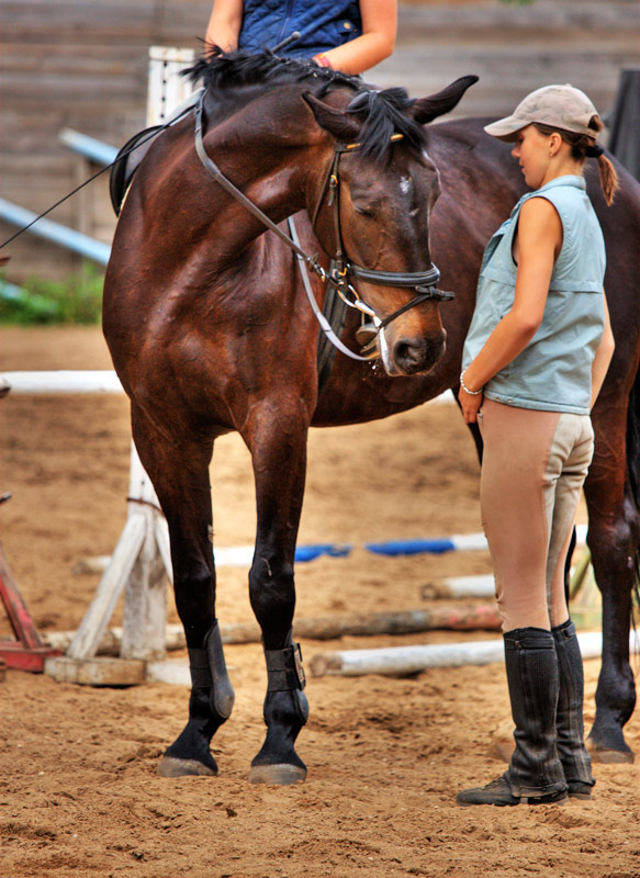 Talking about ......... Russia Moscow VVC Horses