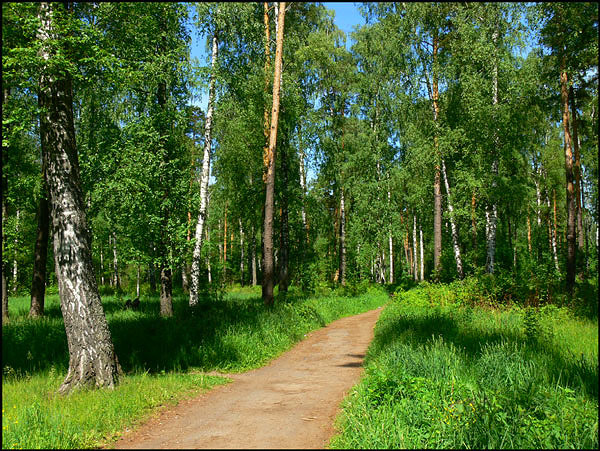Парк. Заволжск 