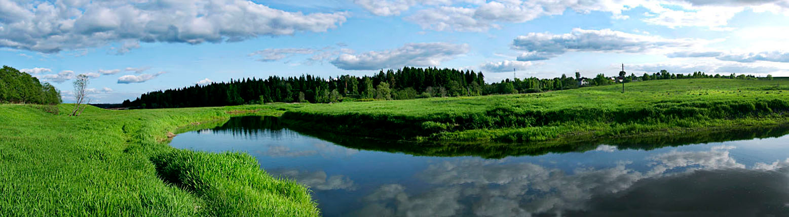 Истра. Сочные луга. Истра лето луг река