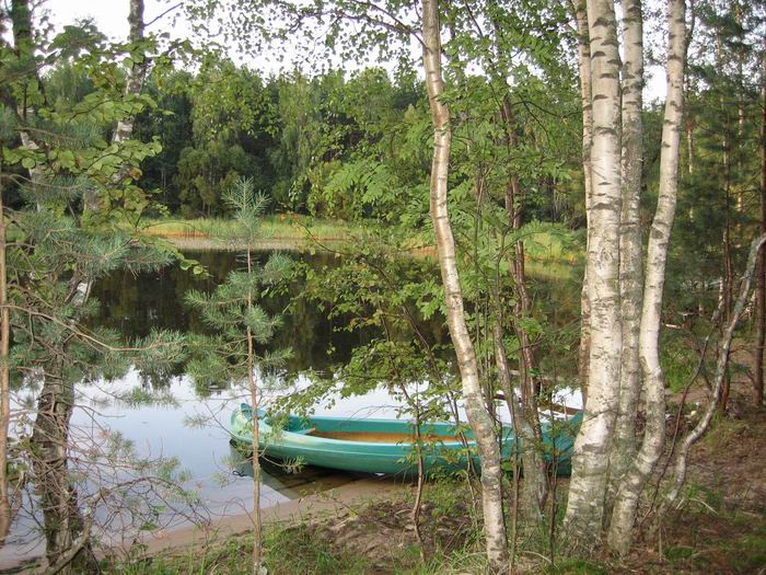 Тишина... озеро лодка лес
