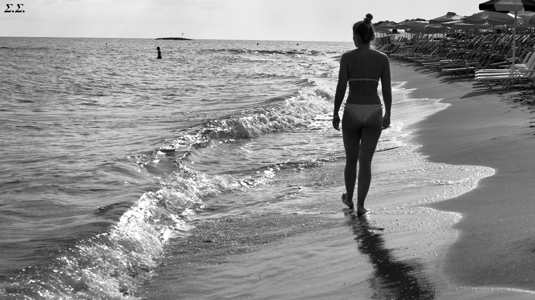 BEACH WANDERER 