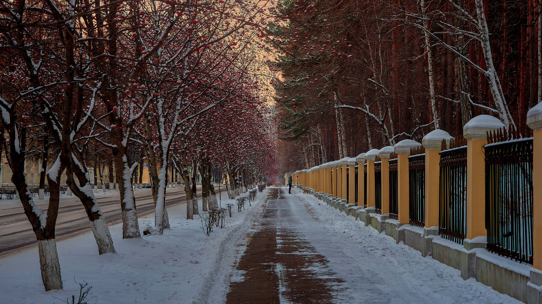 Прогулка_Улица "Парковая" 