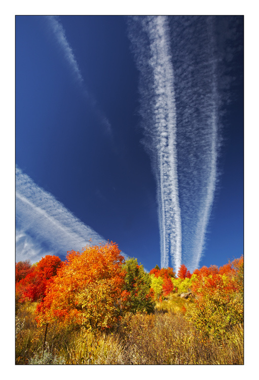 Колористика. colour, autumn, sky