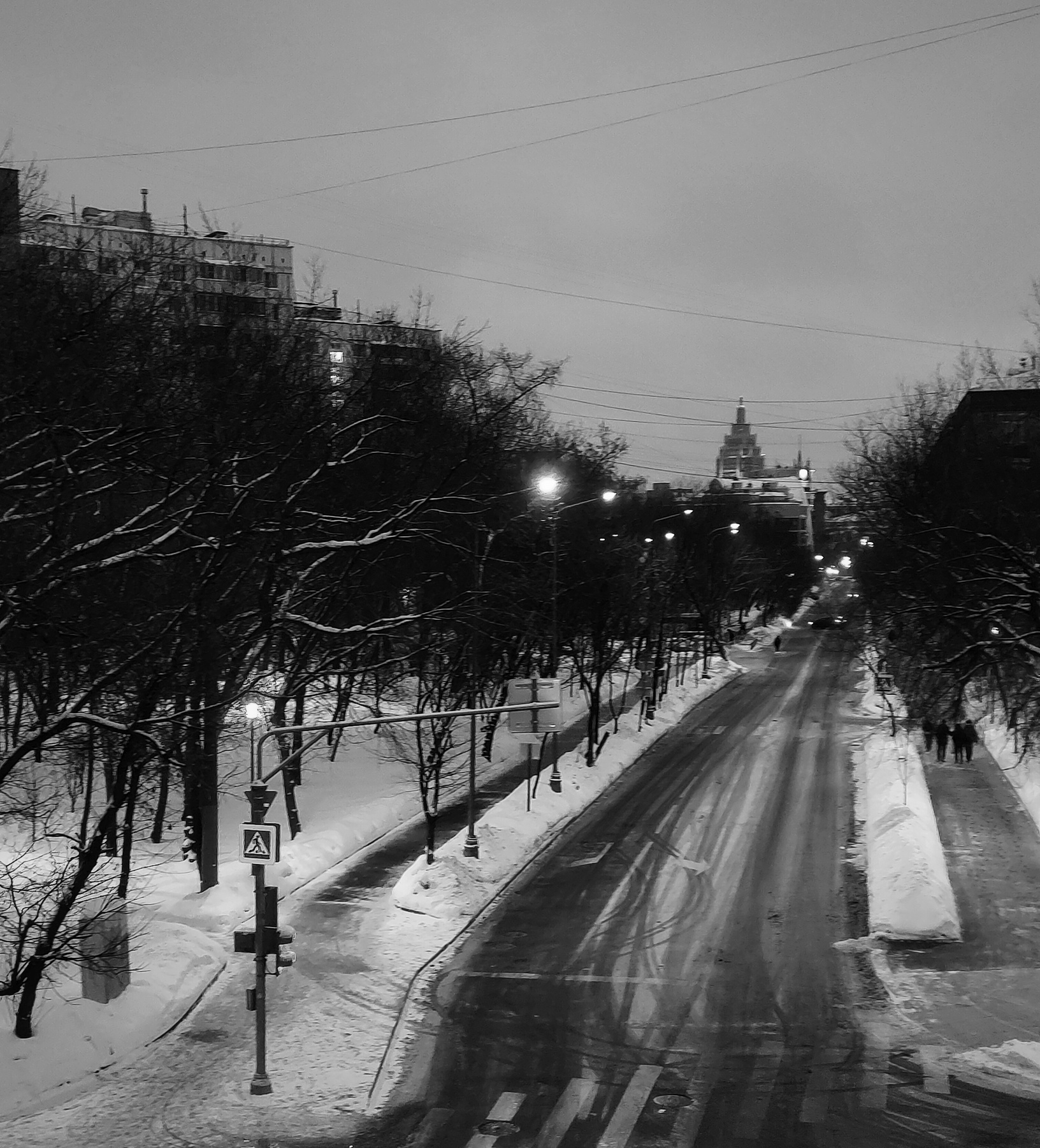 В Новолесную даль... 