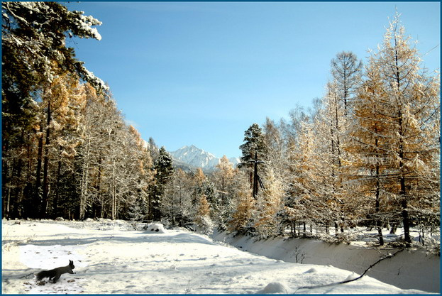 Покров Горы, снега, деревья