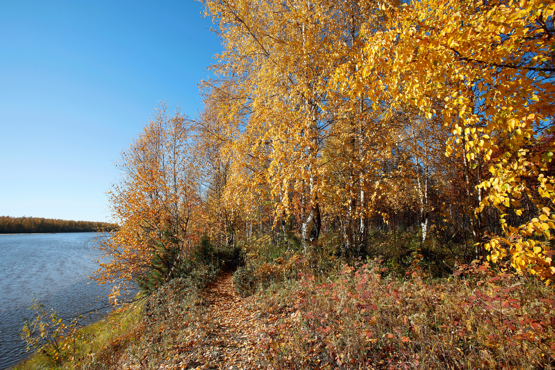 Осенний берег 