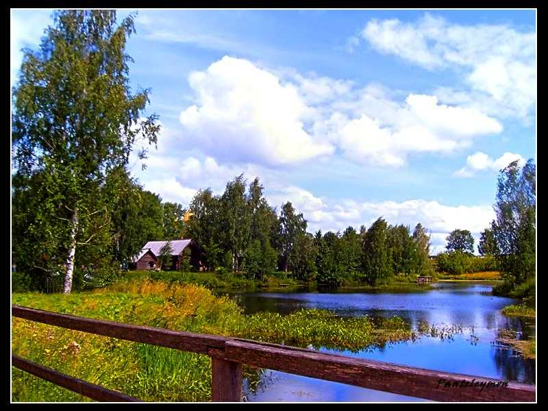 с мостика речка,лето,пейзаж