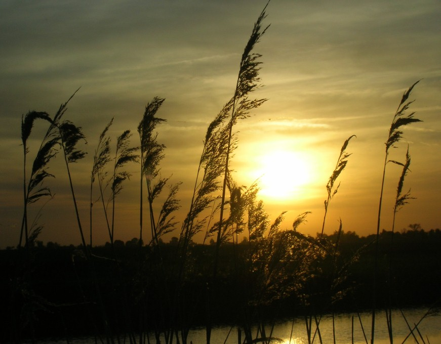 Anxious Sunset закат солнце река вечер