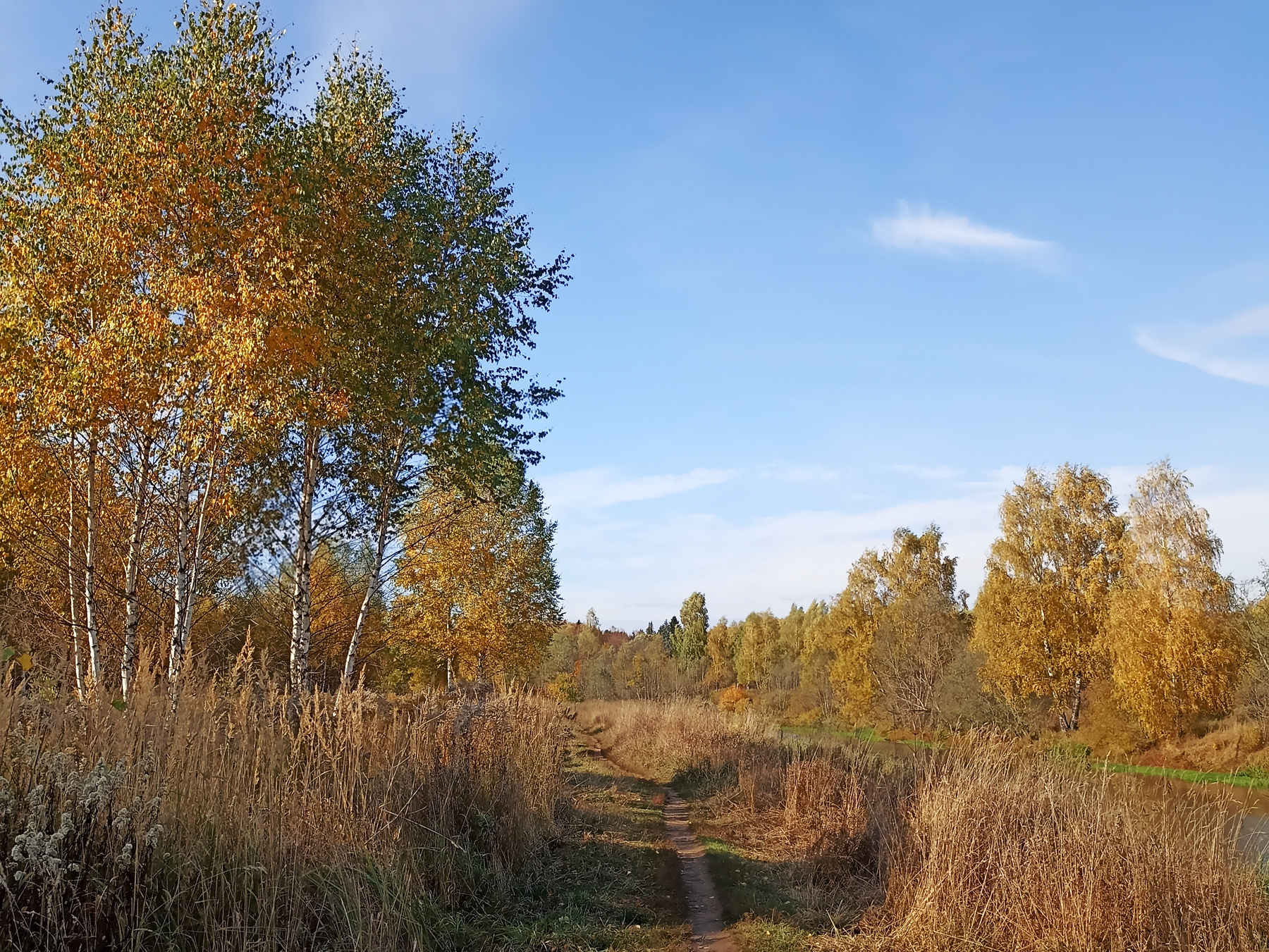 *** осень
