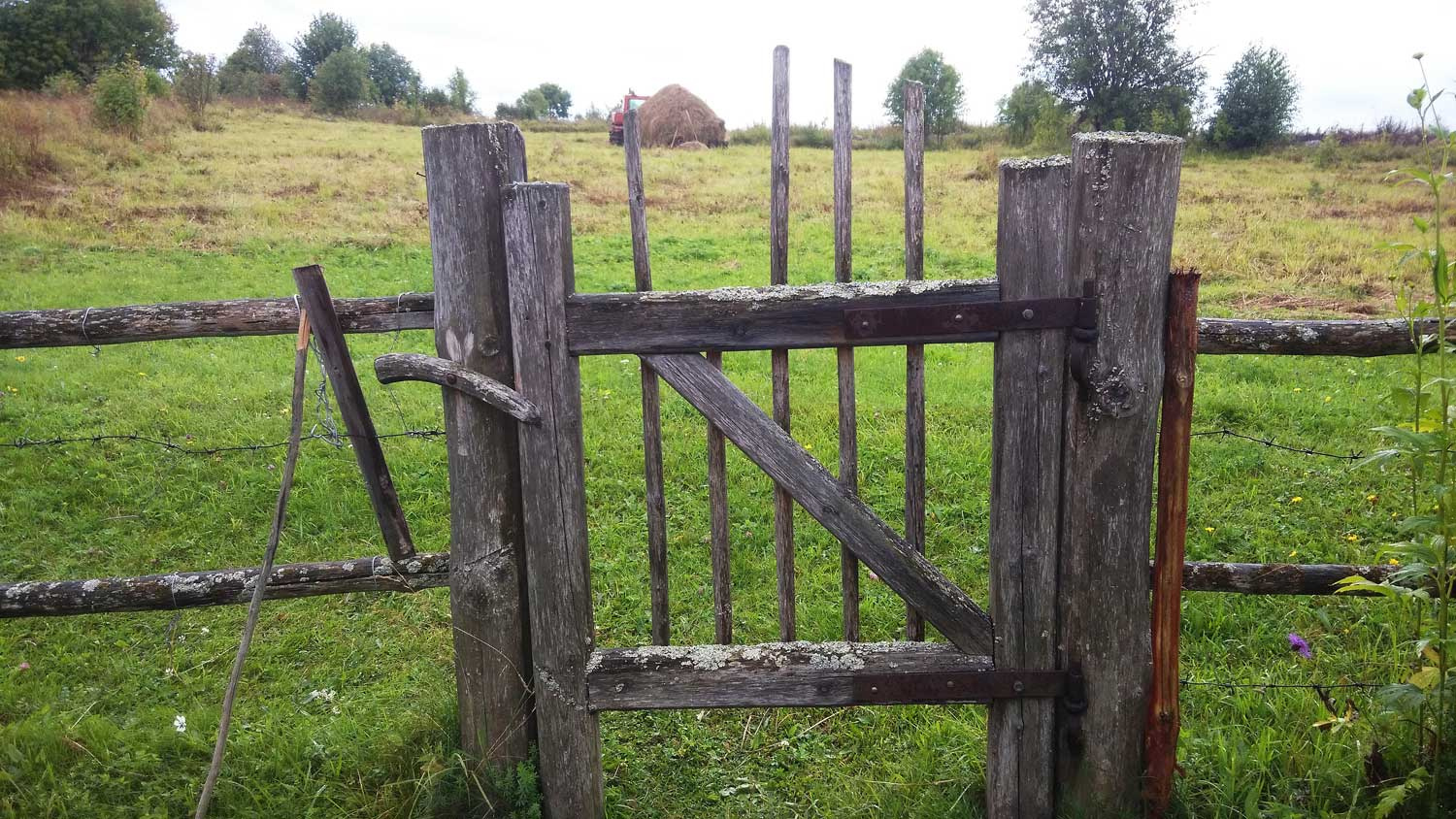 калитка 