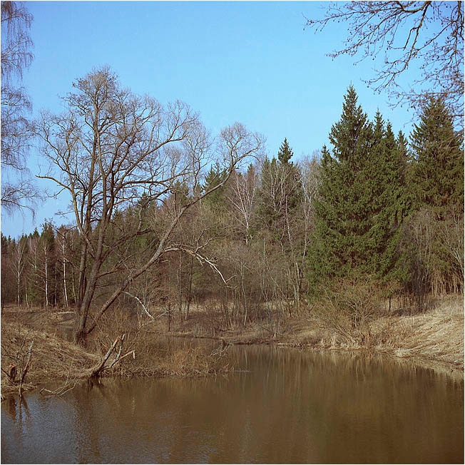 Весенняя зарисовка 2007 