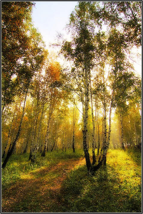солнце.осень 