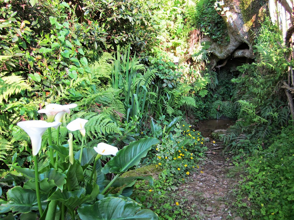 Guria,Erketi. Guria Erketi Georgia Travel Nature Caucasus Flowers Туризм Природа Кавказ Гурия Грузия 