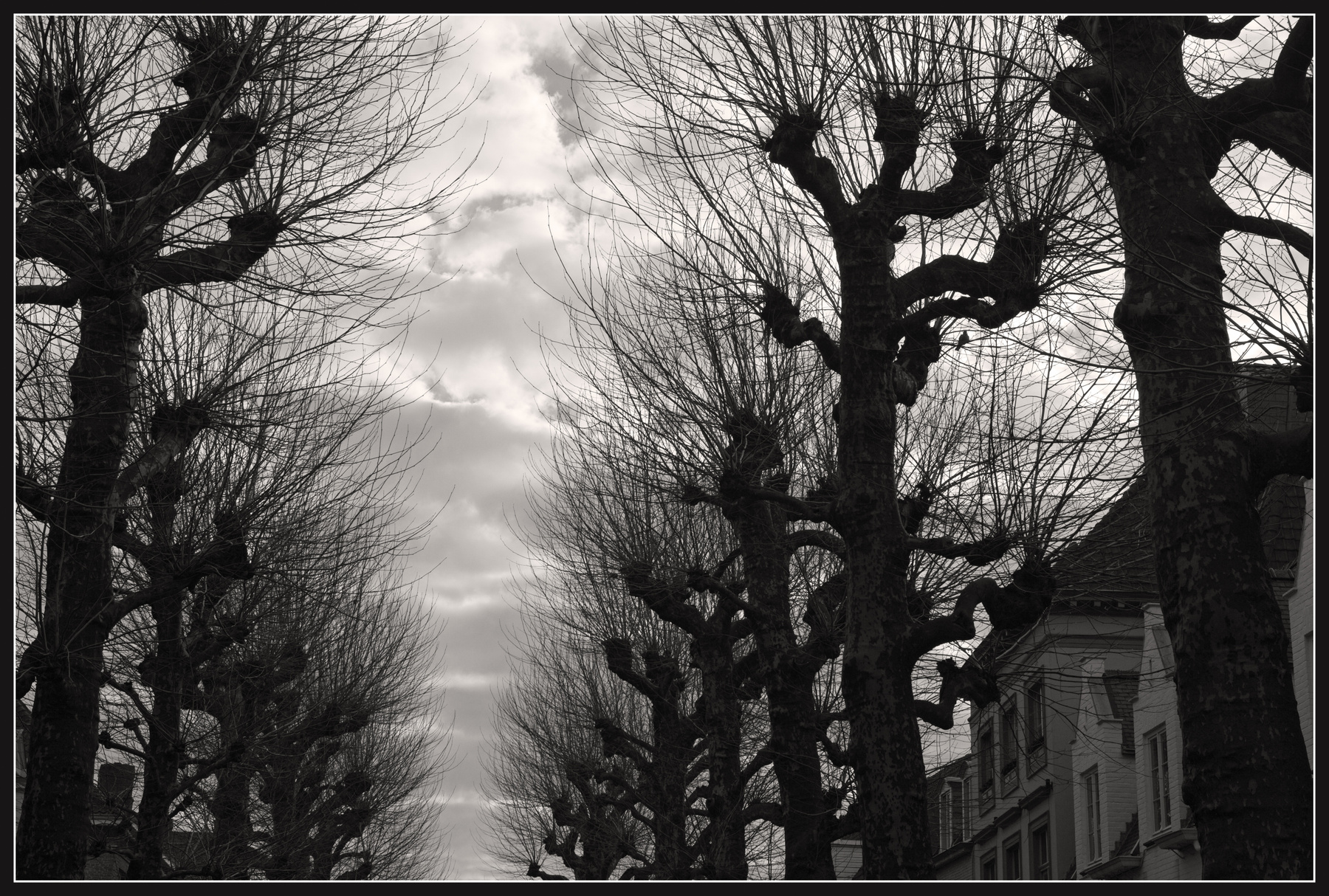 Winter Graphics of Brugge29 