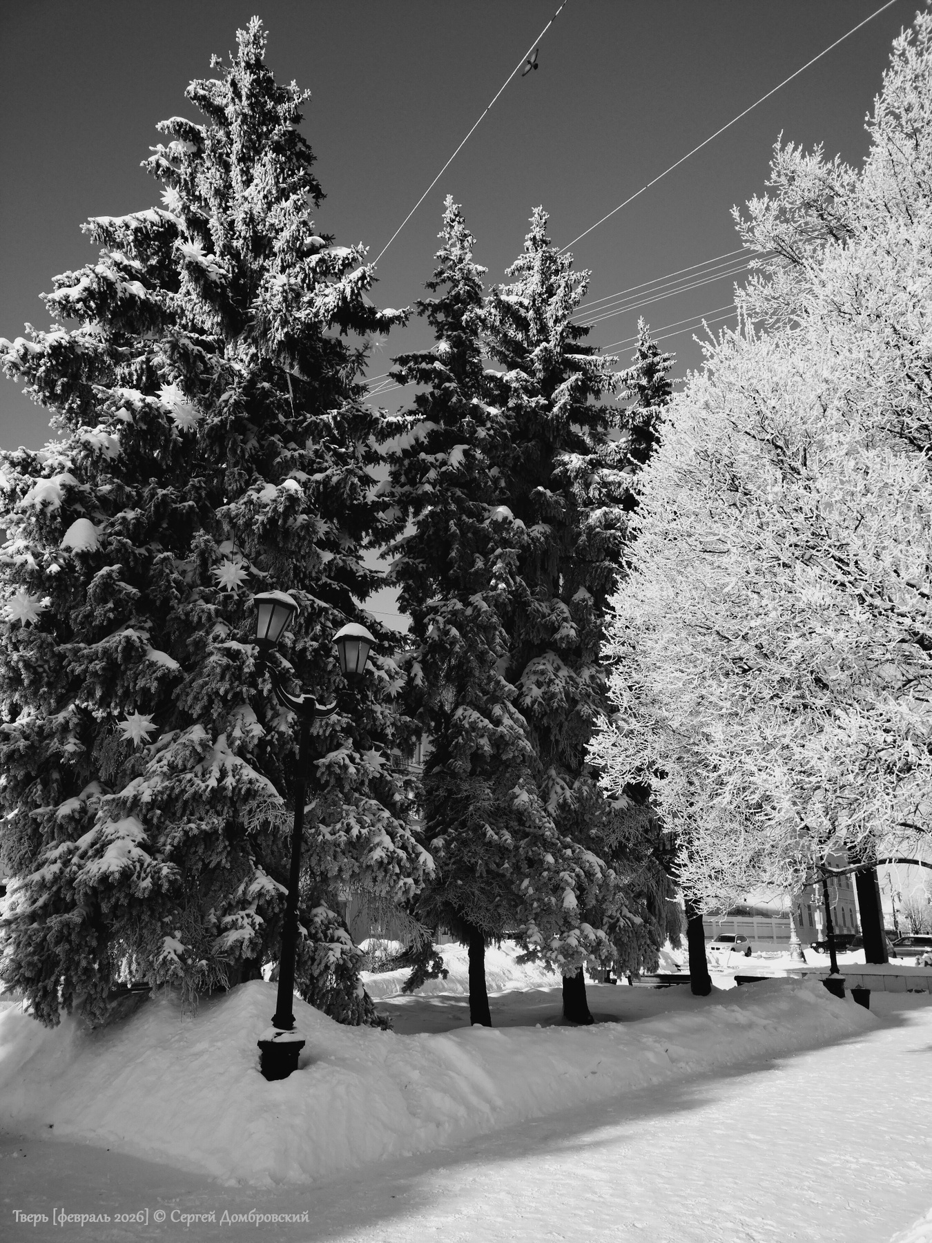 Февраь в Твери февраль зима снег мороз Тверь