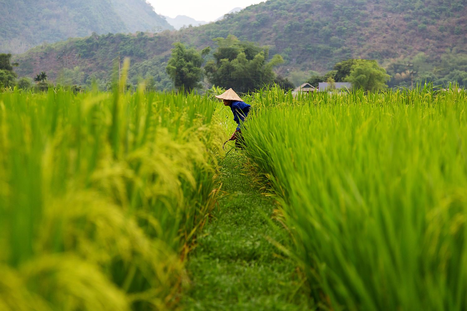 *** Май Чау Вьетнам Mai Chau Vietnam