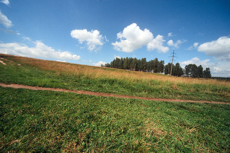 пп трава, небо, дерево, поле, холм, столб, провод