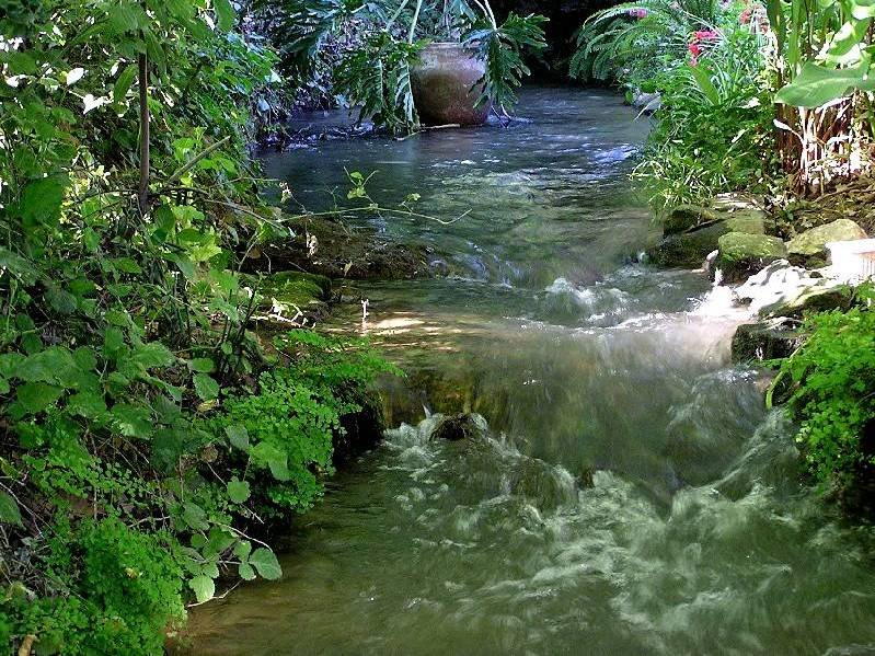 *** Nature
