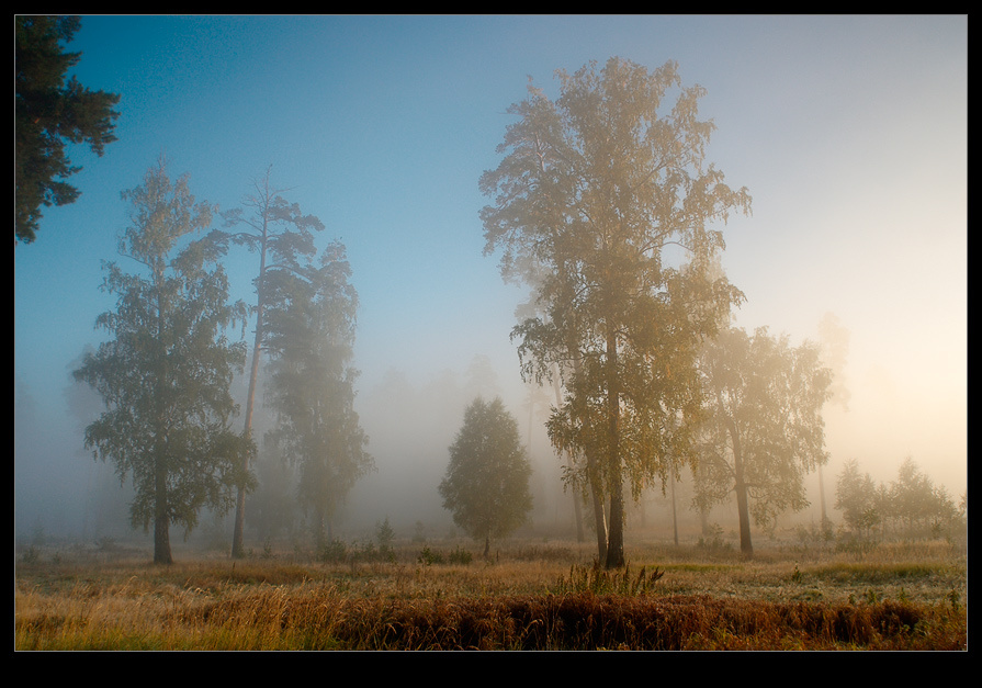 no name 
