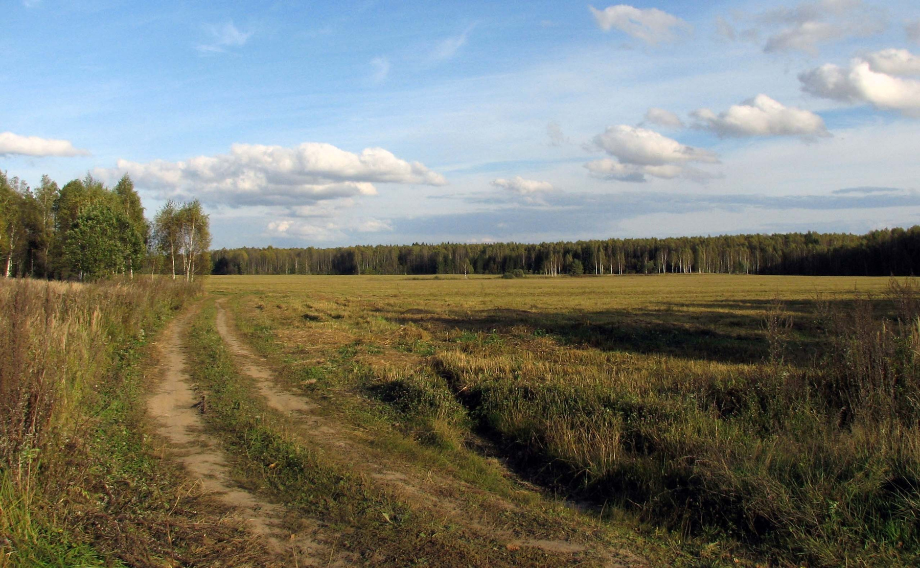 Классика жанра 