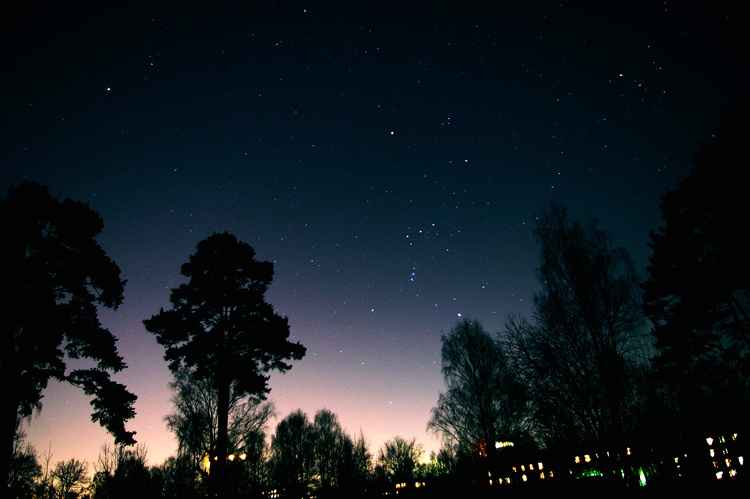 Orion звезды Орион