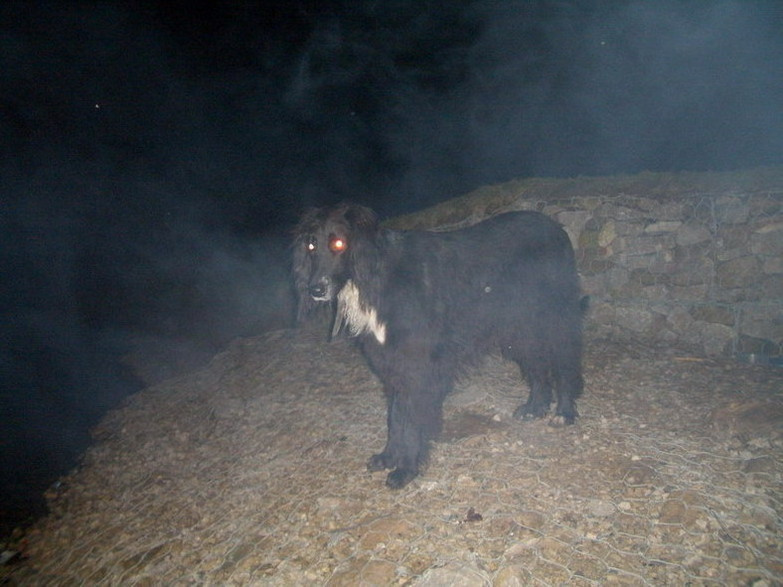 Вахтай 