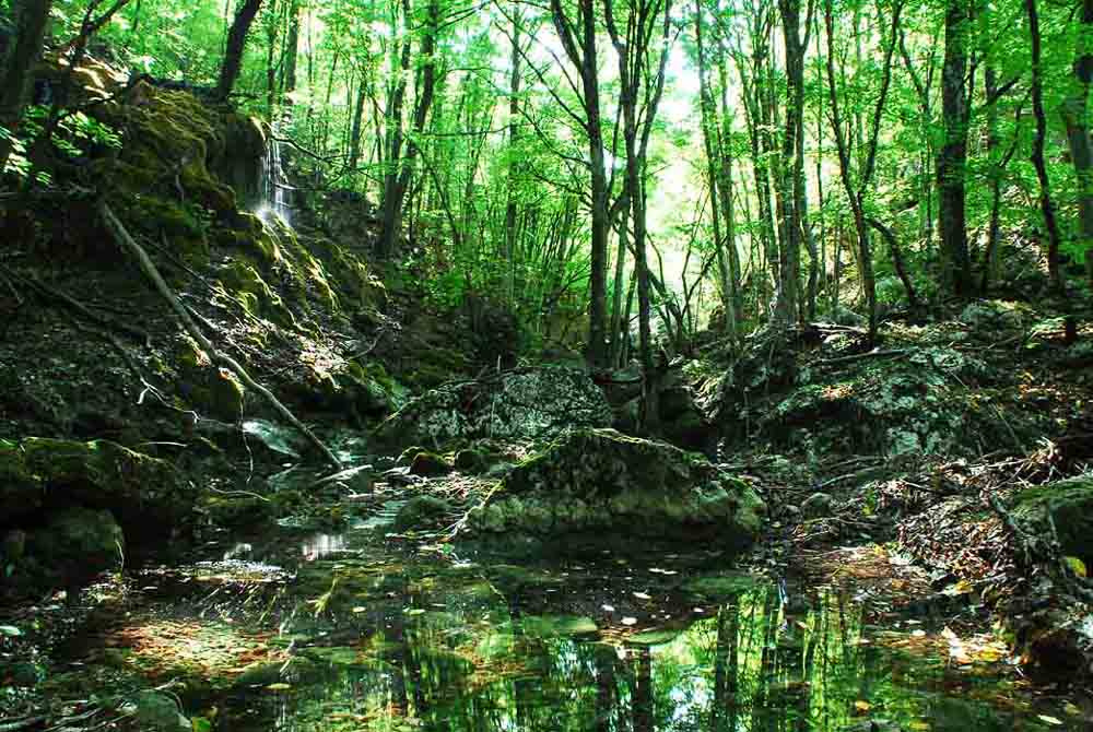 Крымские зарисовки крым природа