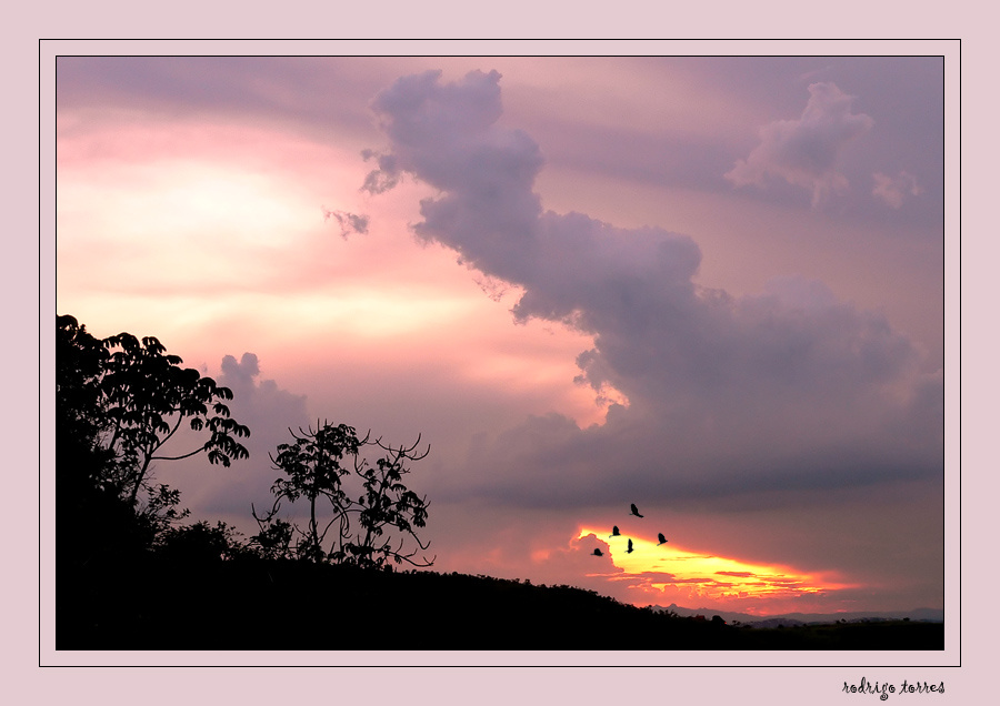 purple sunset (Brazil) 