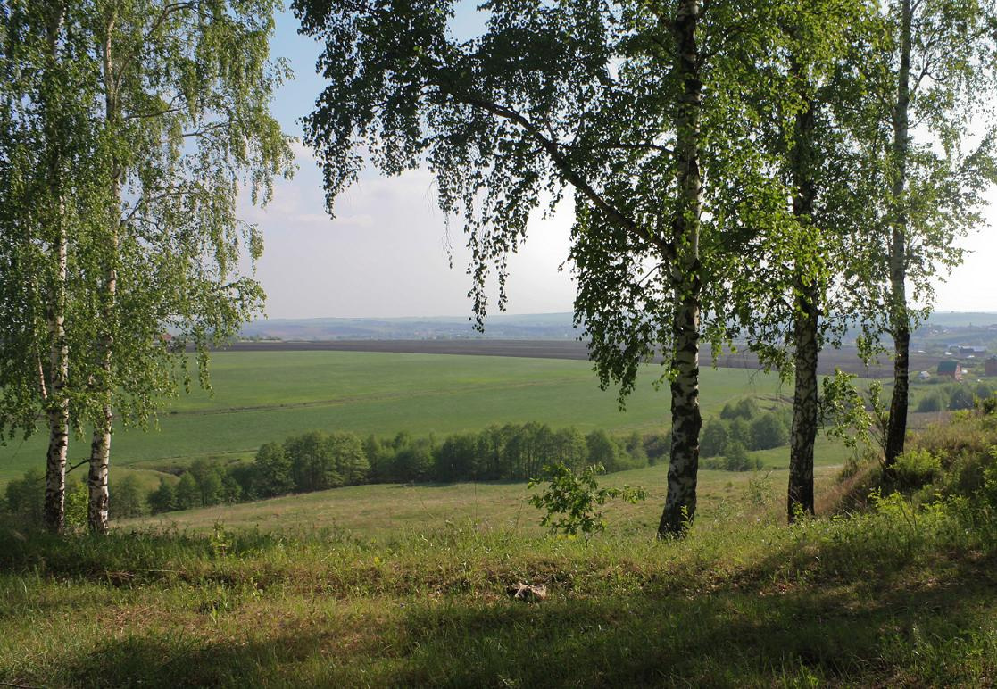 поля.. леса.. 