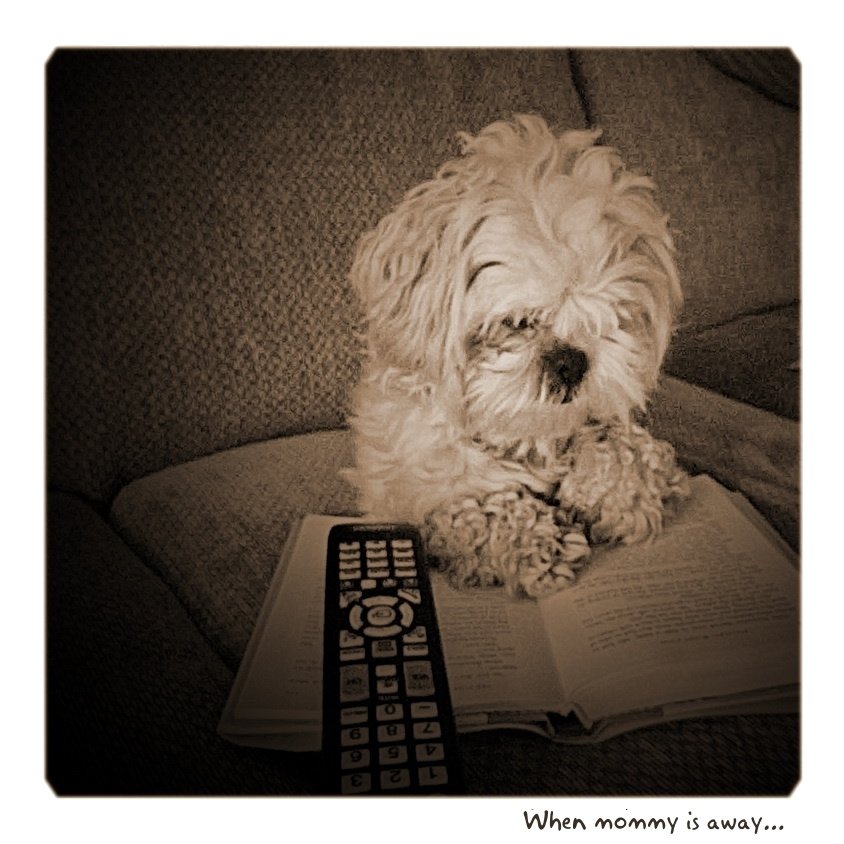 When mommy is away... 