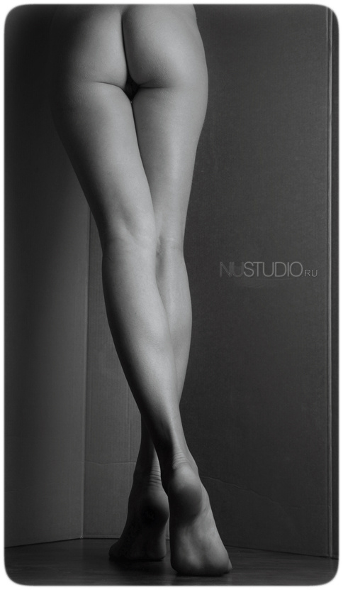 *Nustudio* 