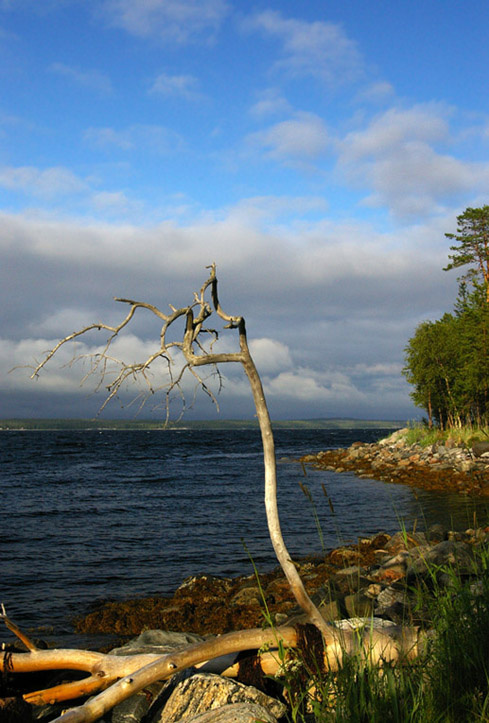 Polar Белое море, ББС