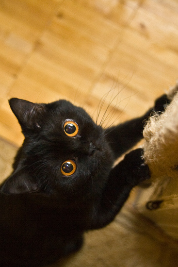 можно? 