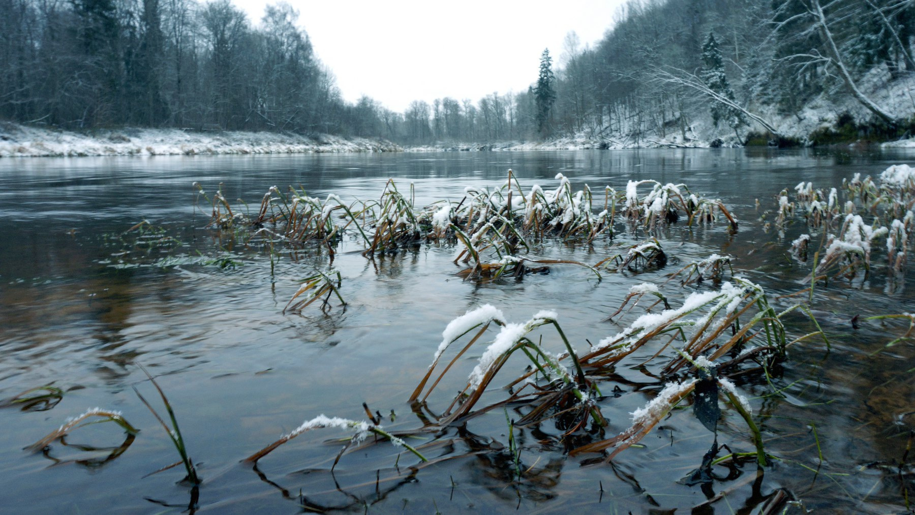 *** river Gauja Latvia 24.11.2025