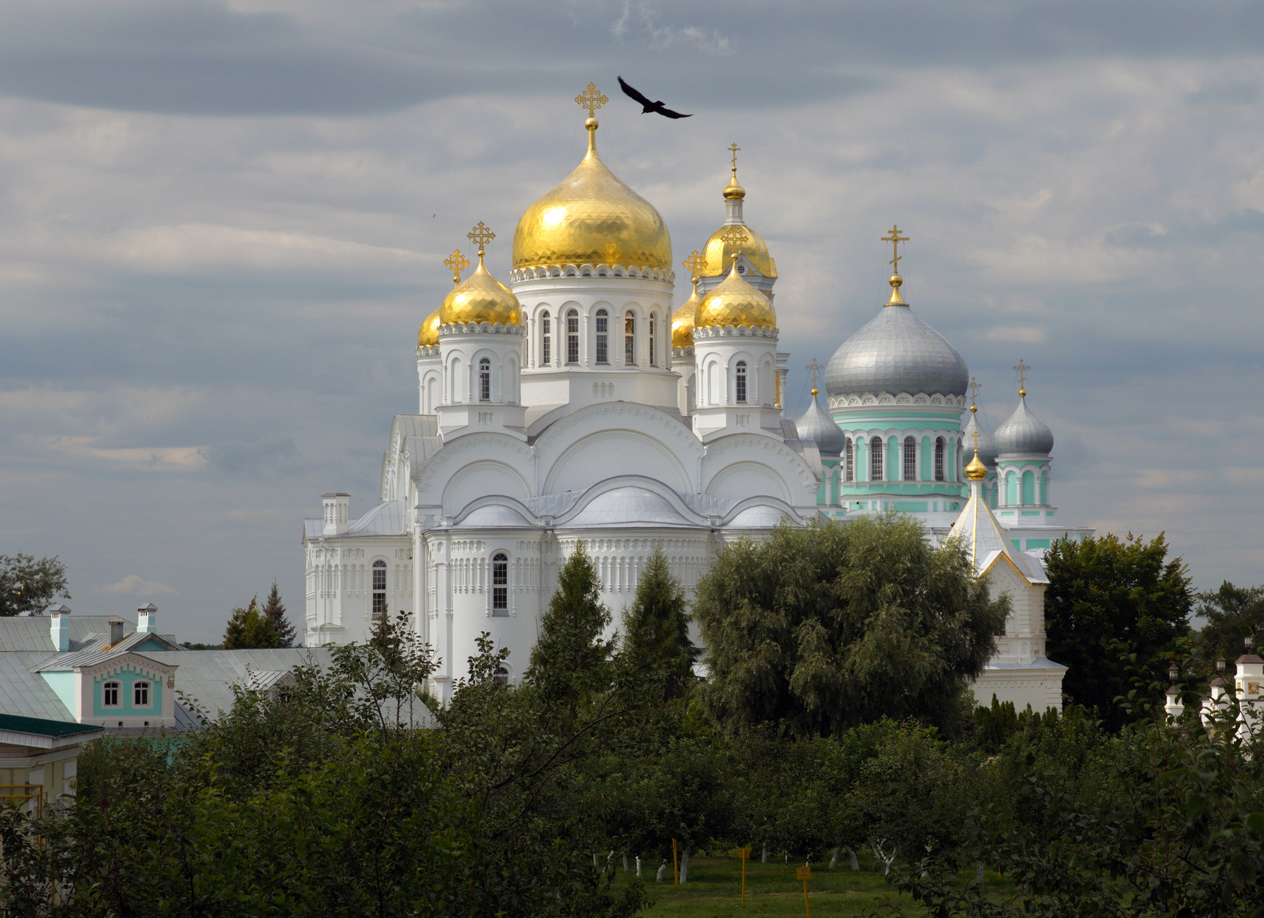 Черный ворон 