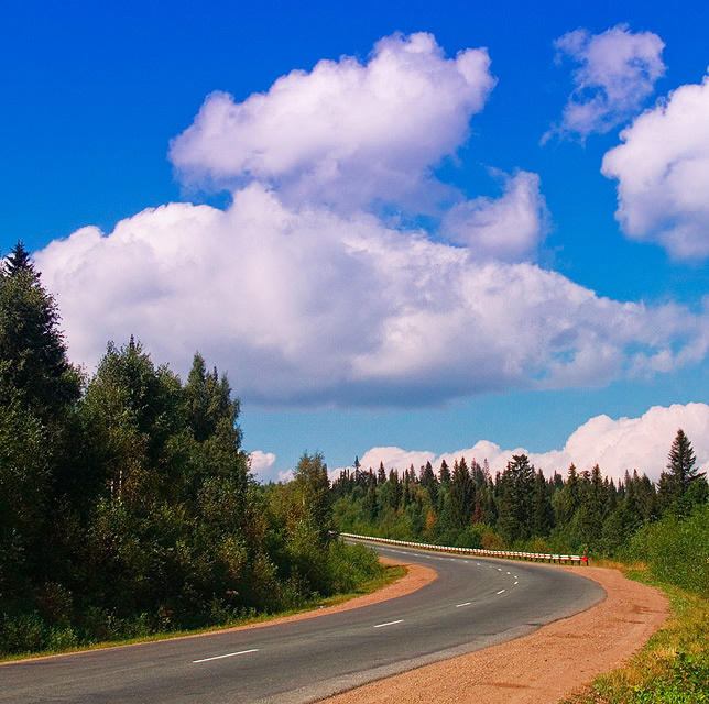 Поворот дорога лес облака