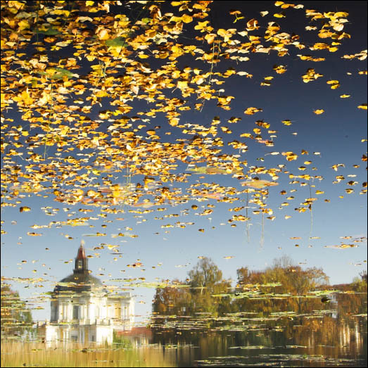 Fall 