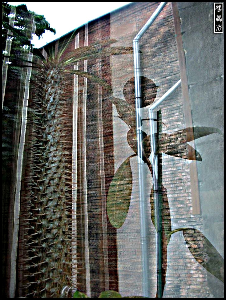 layering realities 