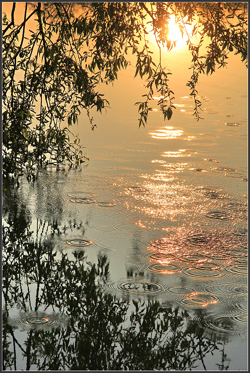 Солнце, Воздух и Вода 