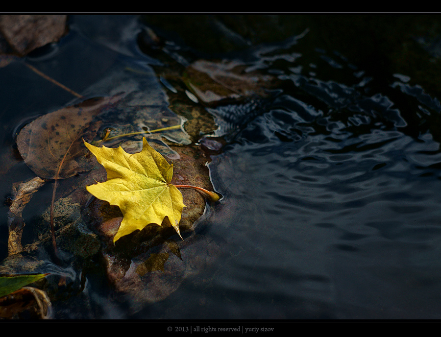 Autumn Autumn