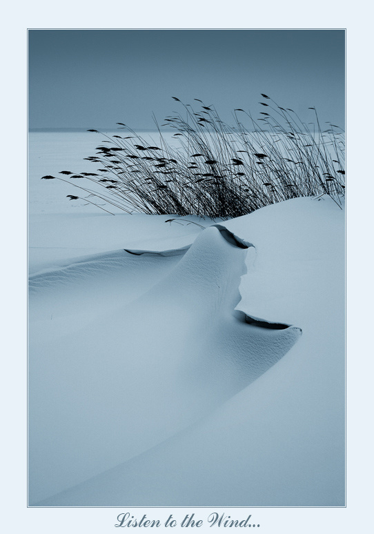 ~ Listen to the Wind... ~ 