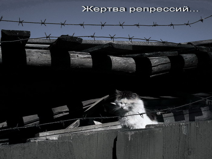 Жертва репрессий... 