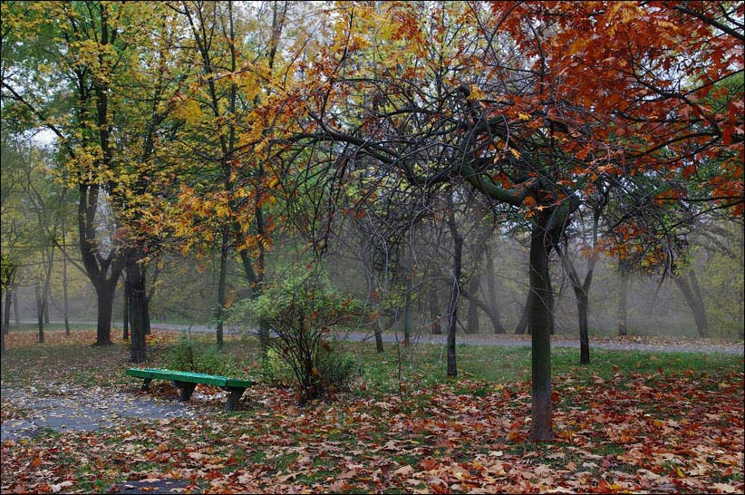 Осенние мотивы Киев