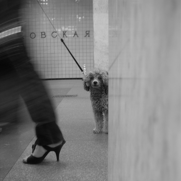 в поисках... 