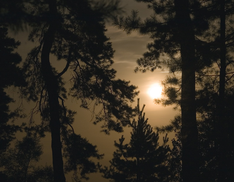 Лунатизм Луна